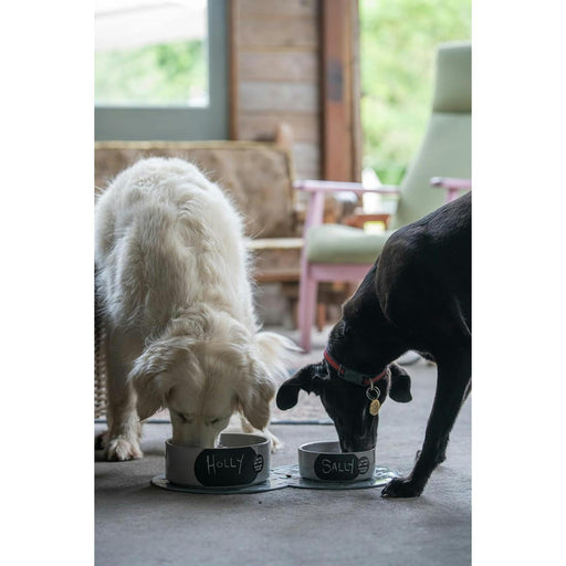 petface ceramic chalkboard dog food or water bowl 15cm