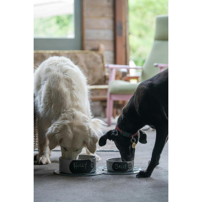 petface ceramic chalkboard dog food or water bowl 15cm