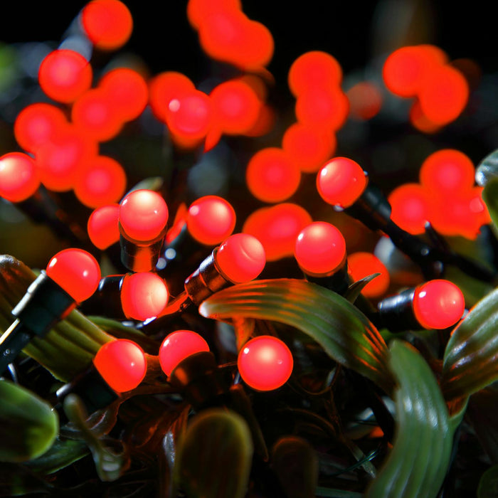 noma berry lights batterytimer 100 led red