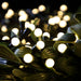 noma berry lights batterytimer 100 led warm white