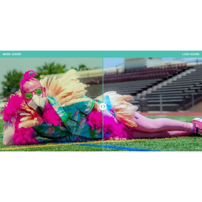 Goodr VRG Sunglasses : See You at the Party, Richter goodr