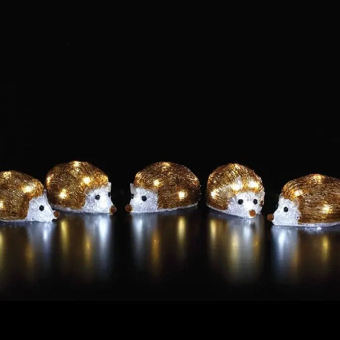 Noma Acrylic Hedgehog Light String : Array of 5 : Plug In : 12cm : 40 LED Noma