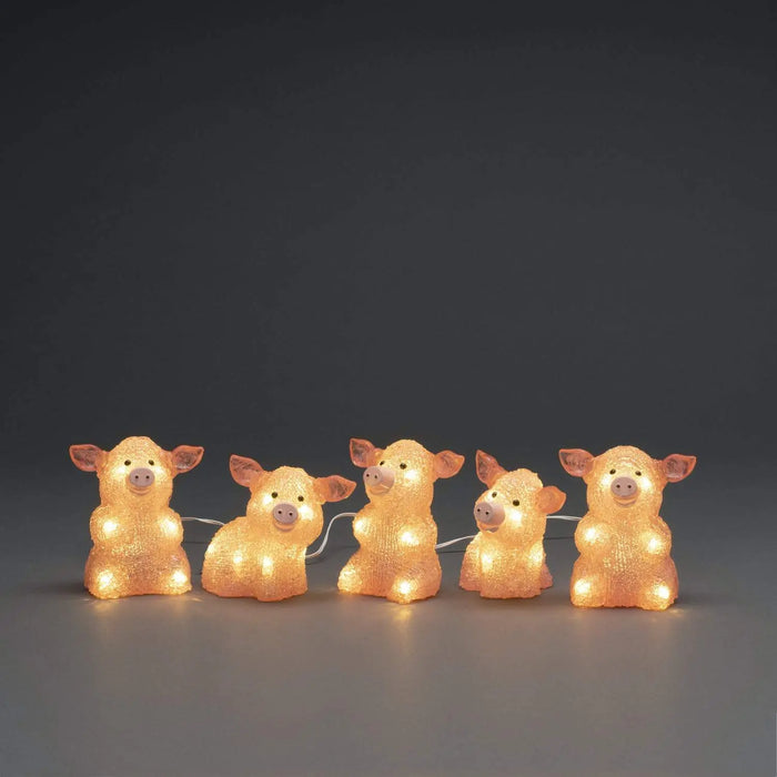DAMAGED BOX : Acrylic Pigs Light String : Set of 5 : Indoor/Outdoor : Plug In : 12.5cm : 40 LED Konstsmide