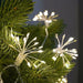 Festive Productions Twinkling Starburst LED Fairy Lights : Plug In : 200 LED : Warm White x10 Festive Productions