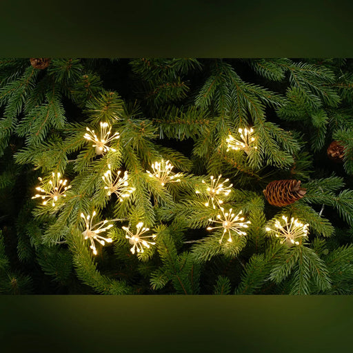 Festive Productions Twinkling Starburst LED Fairy Lights : Plug In : 400 LED : Warm White x20 Festive Productions