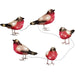 Konstsmide 40 LED Acrylic Bullfinches : 5x 12cm : Plug In : Flock of 5 Konstsmide