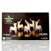 Noma 5 Acrylic Reindeer String Lights : Plug in with Timer : 40 LED Noma